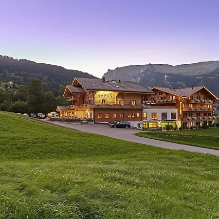 Aspen Alpine Lifestyle Hotel-2